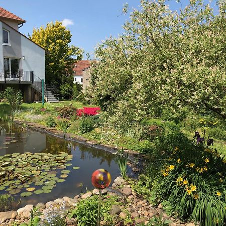 Ferienwohnung Maurer Hasborn-Dautweiler Zewnętrze zdjęcie