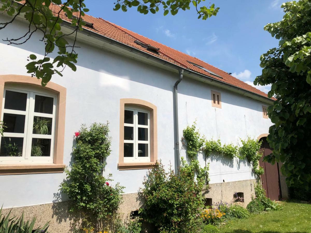 Ferienwohnung Maurer Hasborn-Dautweiler Zewnętrze zdjęcie